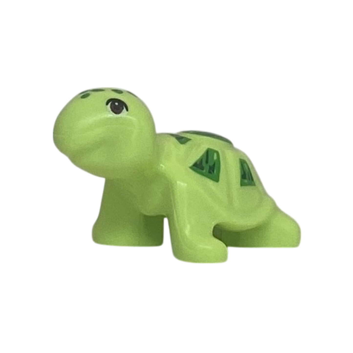 Turtle (Yellowish Green)