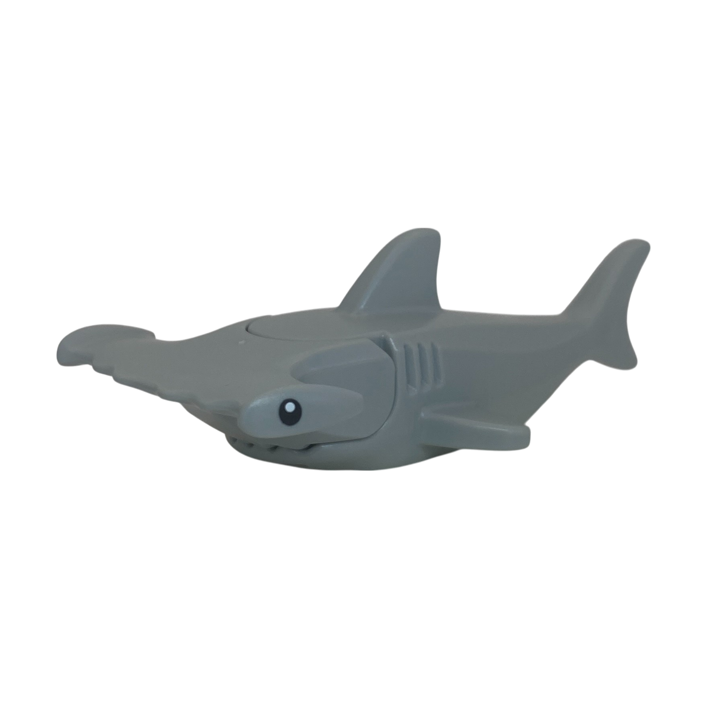 Shark (Hammerhead)