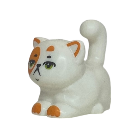 Cat (Churro)