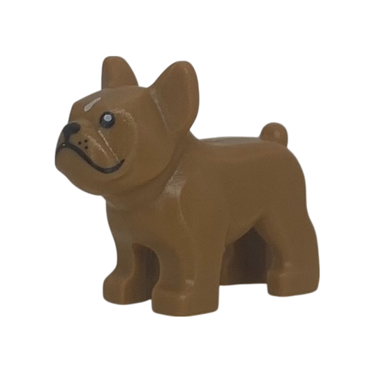 Dog (French Bulldog Medium Nougat)