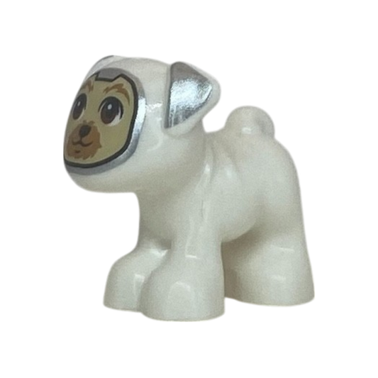 Dog (Apollo)