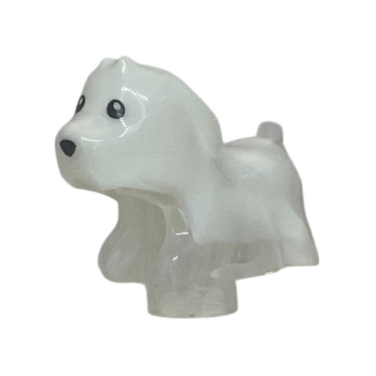 Dog (Spencer)