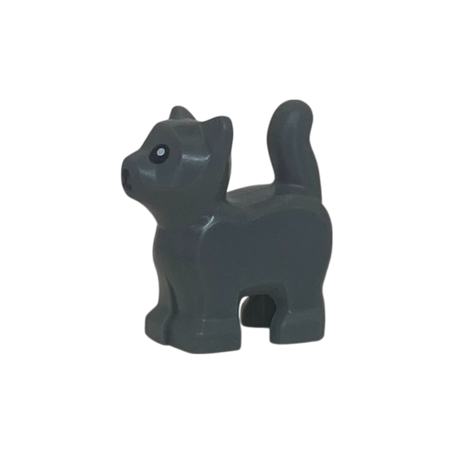 Kitten (Dark Bluish Grey)