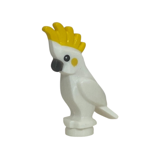 Cockatoo