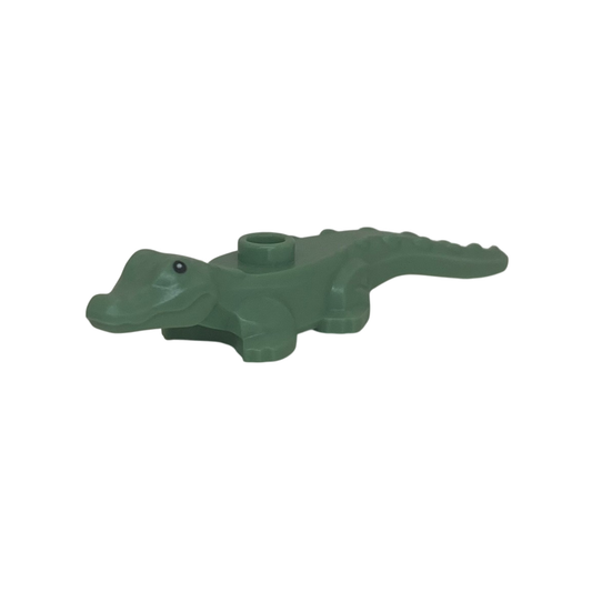 Alligator (Baby)